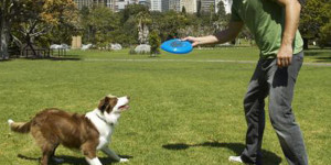 quali-giochi-fare-con-il-cane