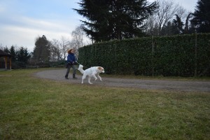 io e angie al guinzaglio